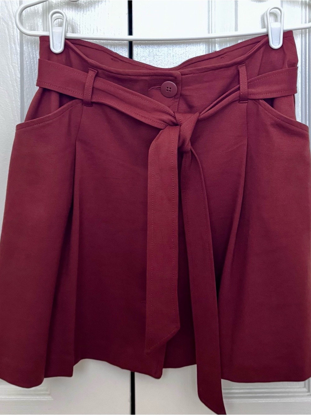 And Now This Belted A-Line Skirt